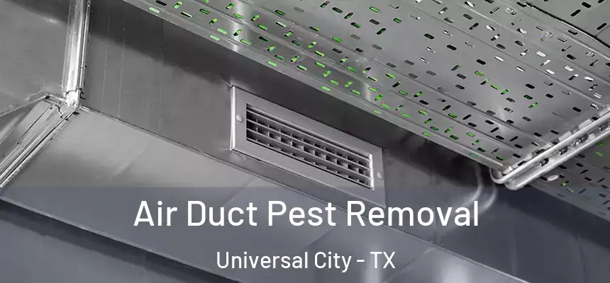 Air Duct Pest Removal Universal City - TX