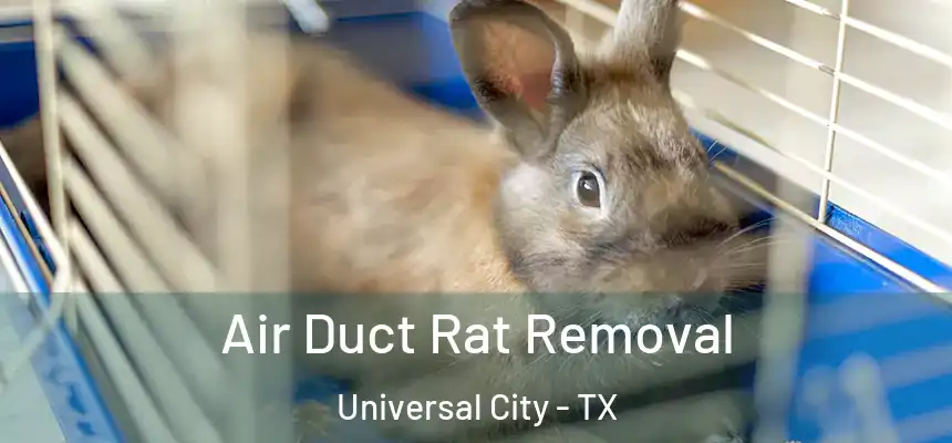 Air Duct Rat Removal Universal City - TX