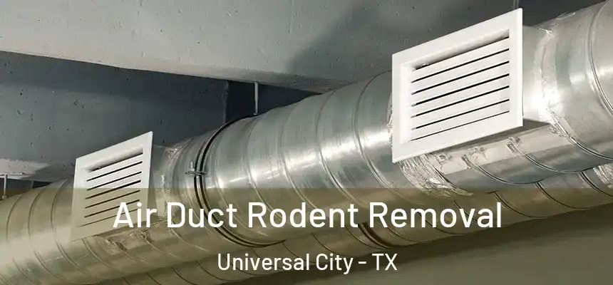  Air Duct Rodent Removal Universal City - TX