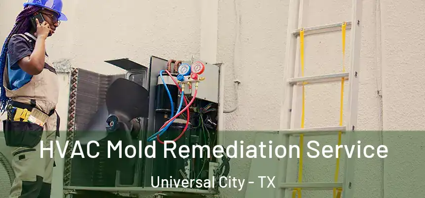HVAC Mold Remediation Service Universal City - TX