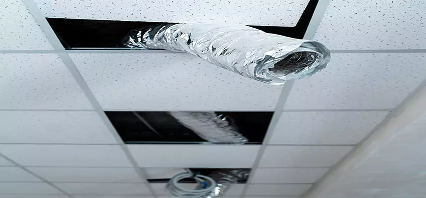 Affordable HVAC Sanitizing After Pest Removal in Universal City