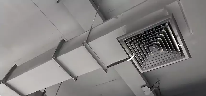 Our Rodent Droppings In Vents Services in Universal City, TX