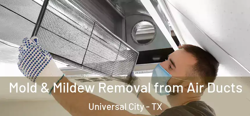 Mold & Mildew Removal from Air Ducts Universal City - TX
