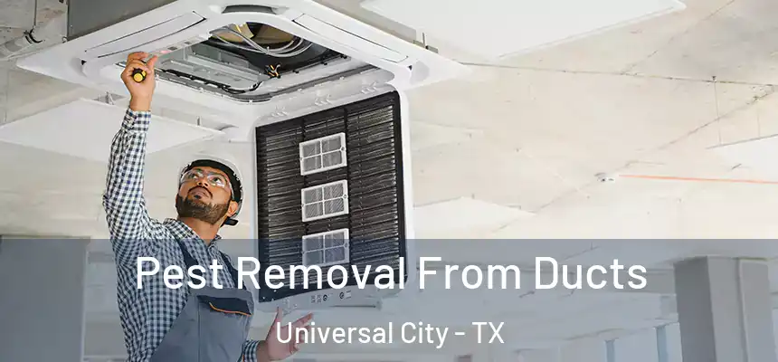 Pest Removal From Ducts Universal City - TX