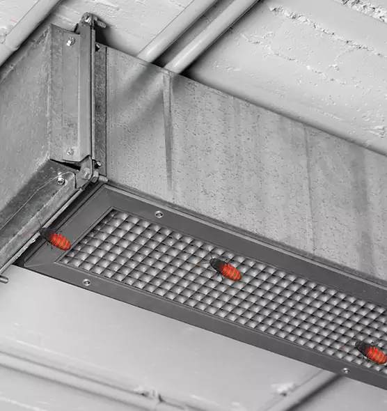 Affordable Insect Removal from Air Ducts in Universal City, TX