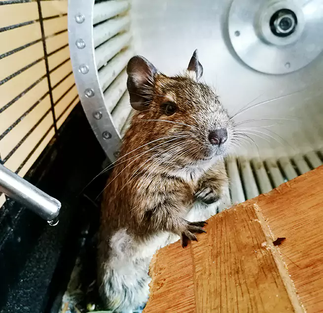 Why Homeowners & Businesses Trust Us Universal City, TX