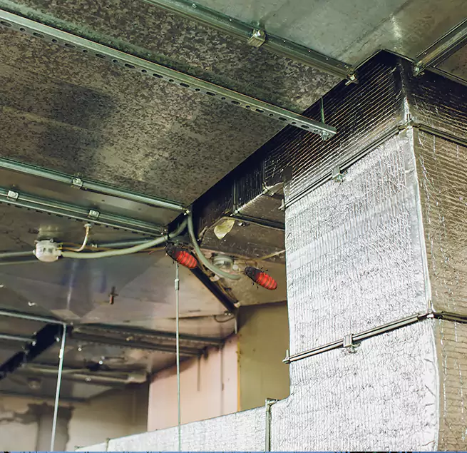 Why Homeowners & Businesses Trust Us Universal City, TX?