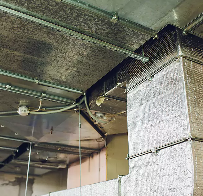 Why Homeowners & Businesses Trust Us in Universal City, TX?